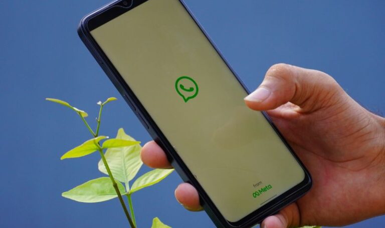whatsapp massal