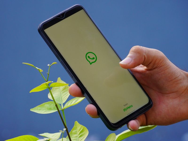 whatsapp massal